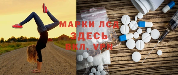 дмт Алзамай