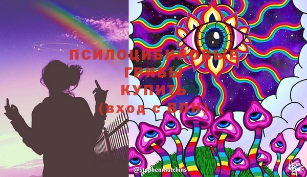 дмт Алзамай